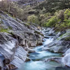Un río serpentea entre rocas pulidas y vegetación verde, formando una hermosa ruta del agua en un paisaje montañoso.